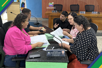 reuniao comissões 1
