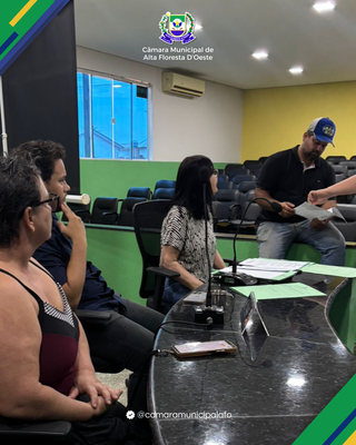 REunião comissões 1