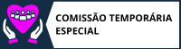 comissão temporaria