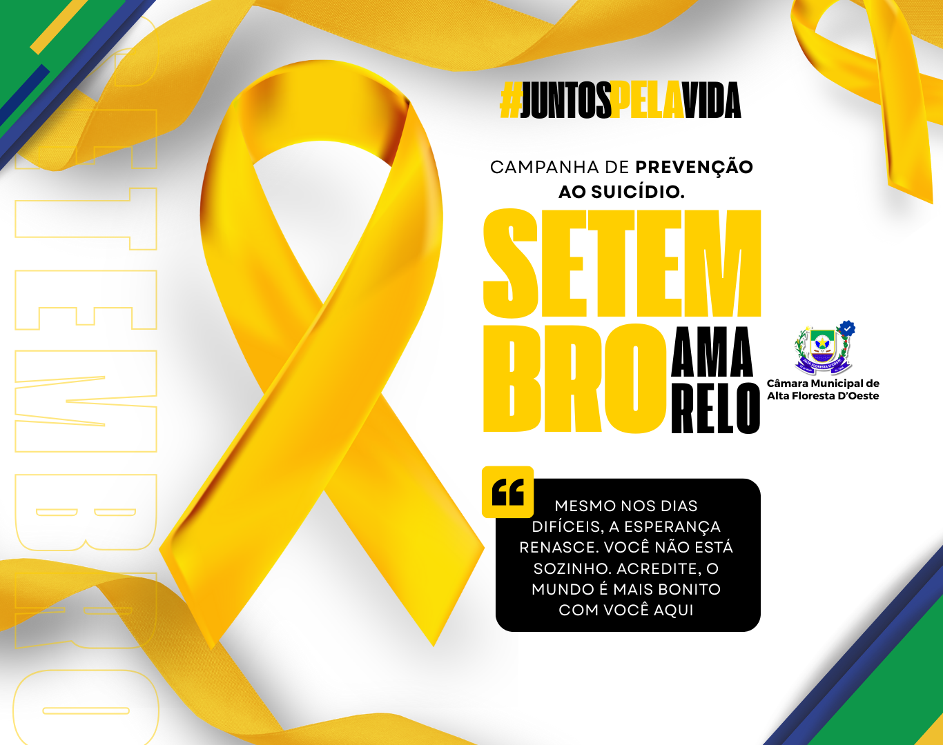 🟡 Câmara Municipal de Alta Floresta D’Oeste apoia a campanha Setembro Amarelo