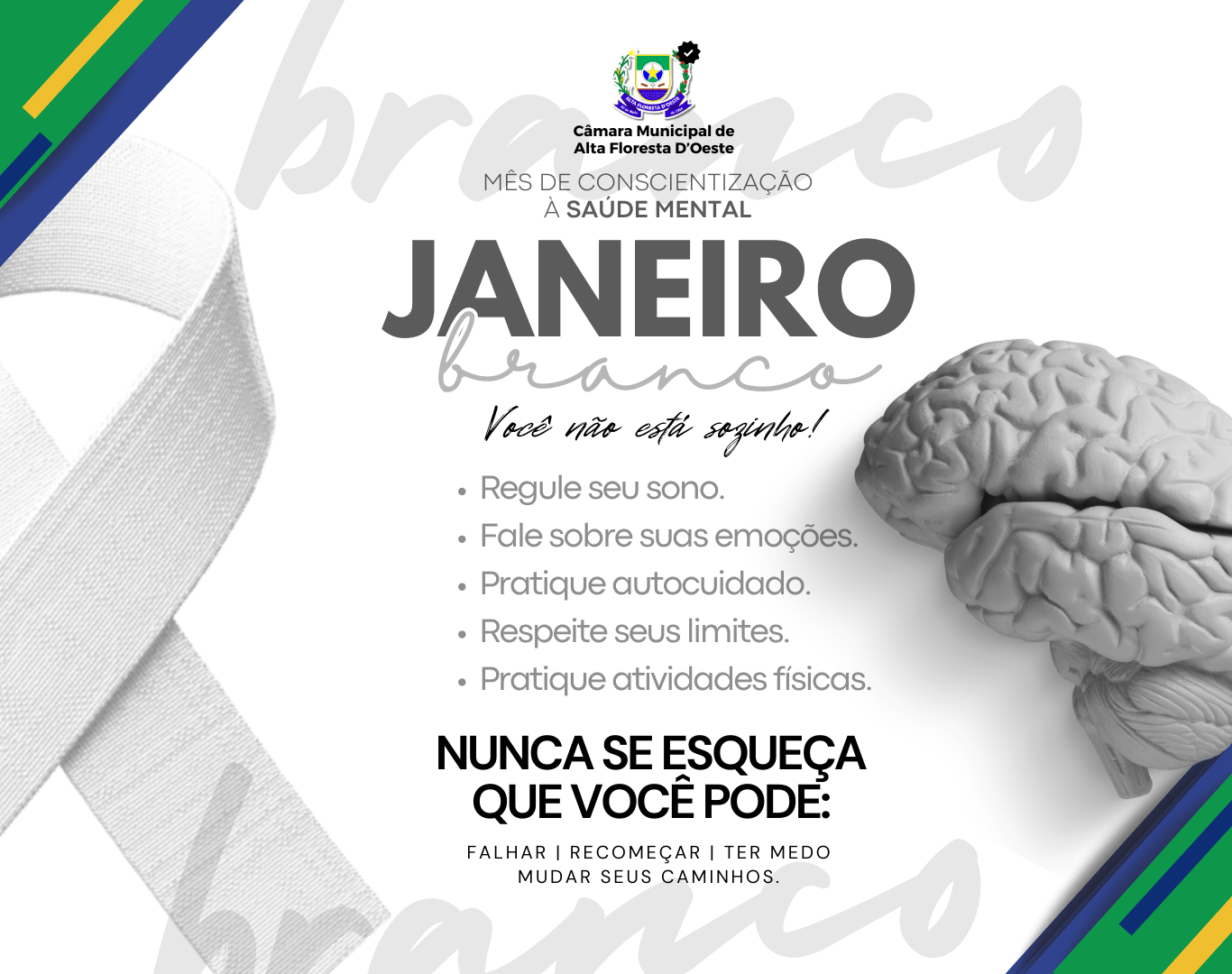 🧠 Câmara Municipal de Alta Floresta D’Oeste apoia a campanha Janeiro Branco